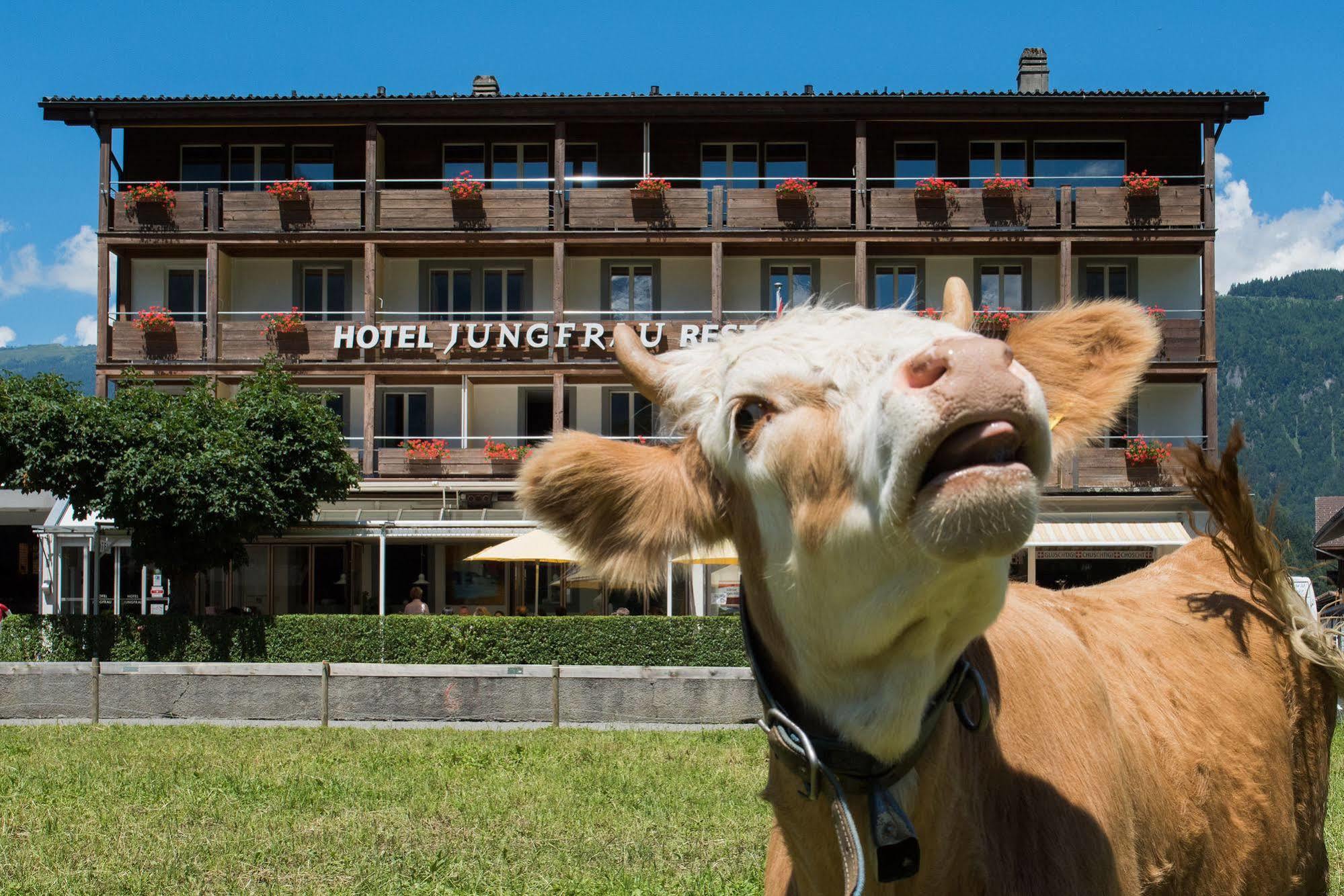 Jungfrau Hotel Wilderswil Kültér fotó